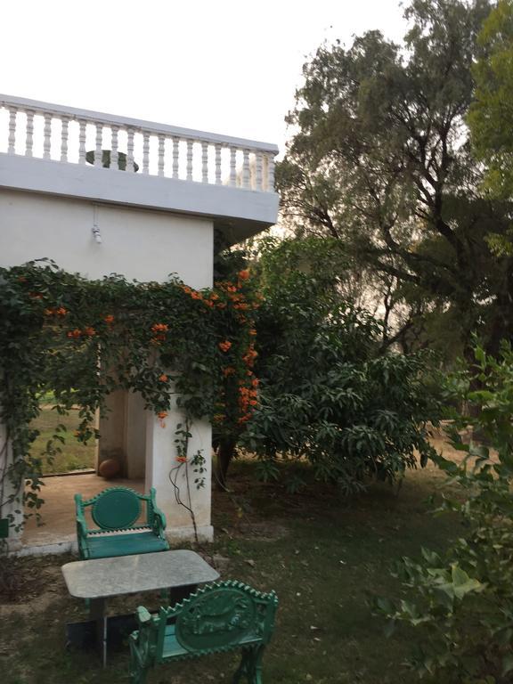 Savista Retreat Ξενοδοχείο Τζαϊπούρ Εξωτερικό φωτογραφία