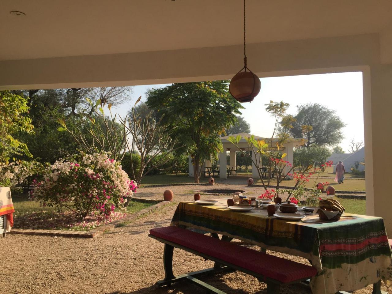 Savista Retreat Ξενοδοχείο Τζαϊπούρ Εξωτερικό φωτογραφία